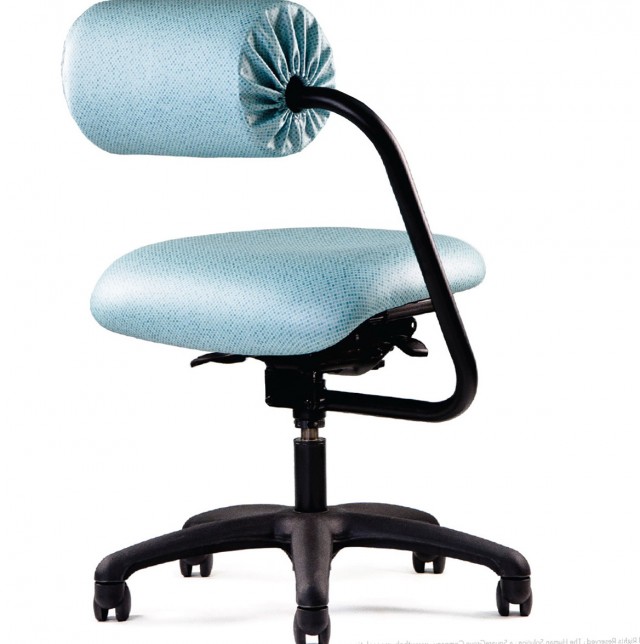 Back Support Cushion For Office Chair | Home Design Ideas