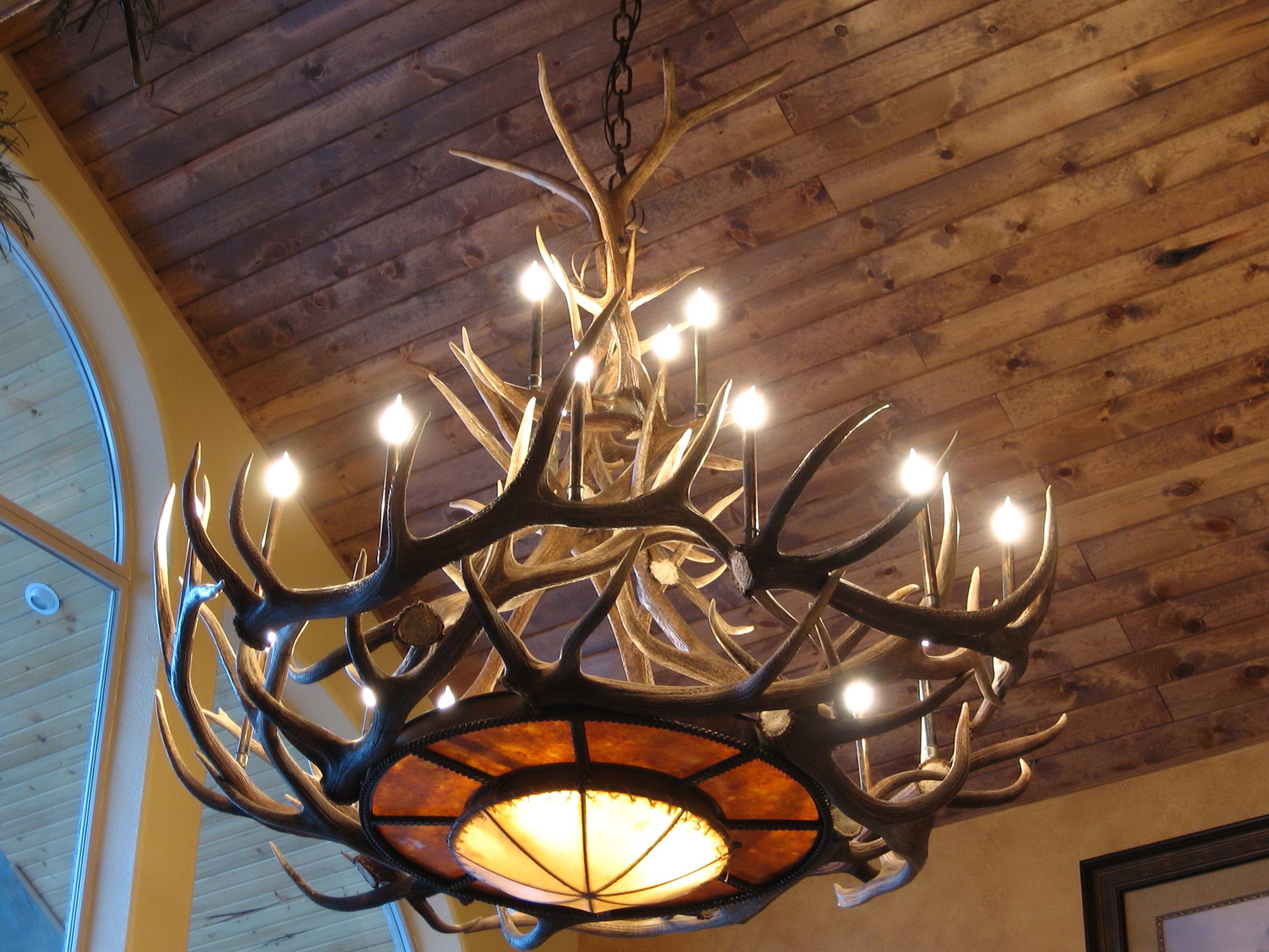 Modern Deer Antler Chandelier | Home Design Ideas